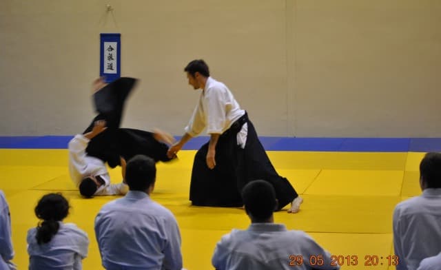 2013 trening aikido180-cropped.jpg