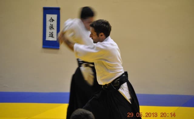 2013 trening aikido184-cropped.jpg