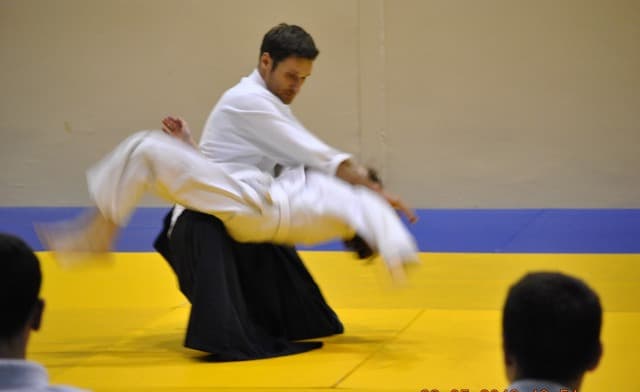 2013 trening aikido093-cropped.jpg