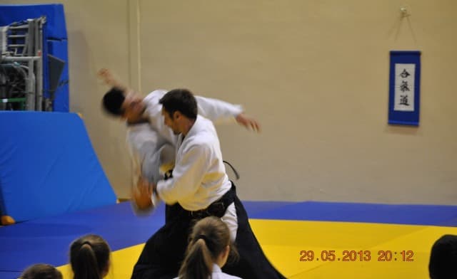 2013 trening aikido178-cropped.jpg