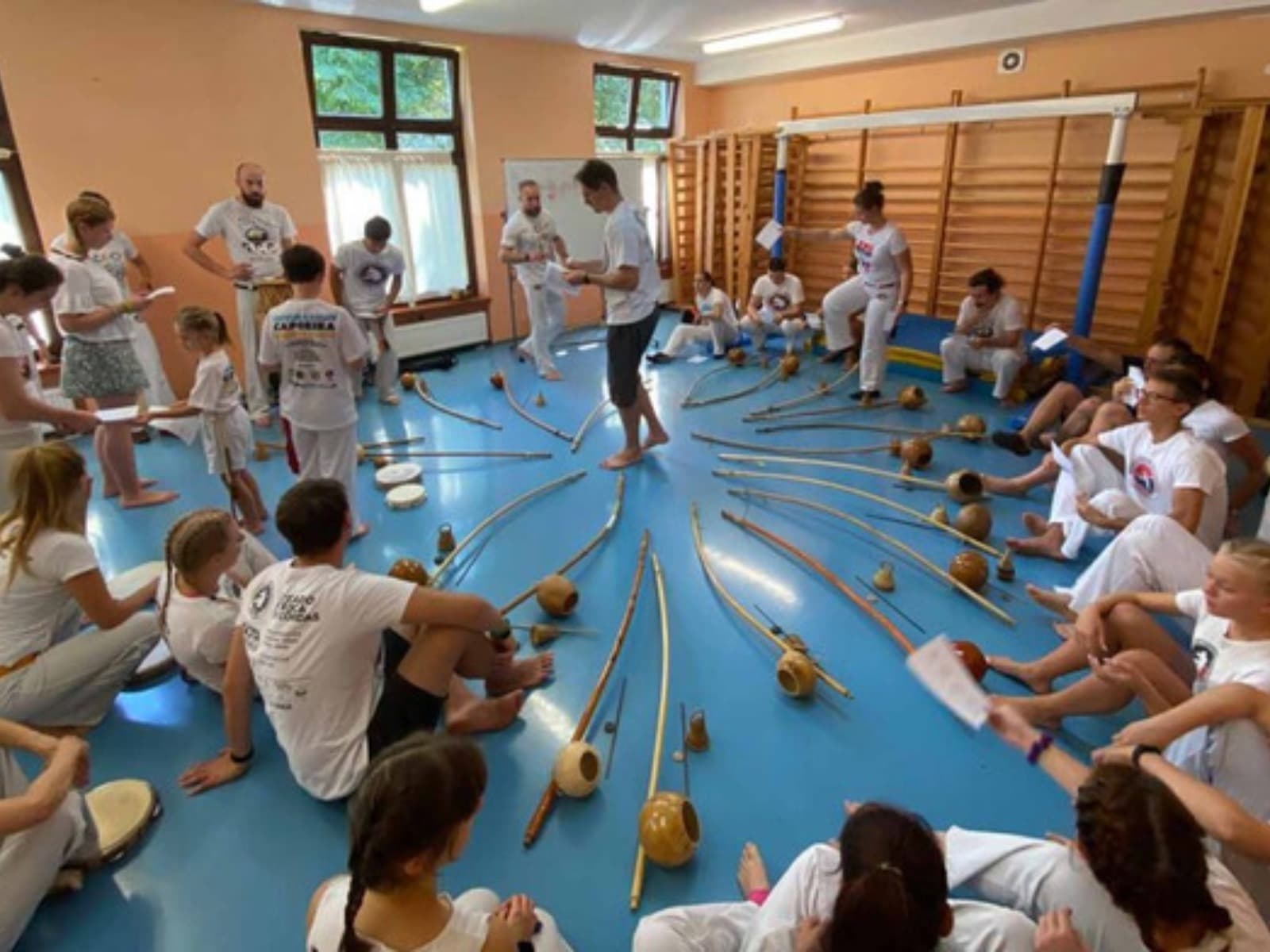 capoeira-warsztaty-berimbau-640x392-cropped.jpg